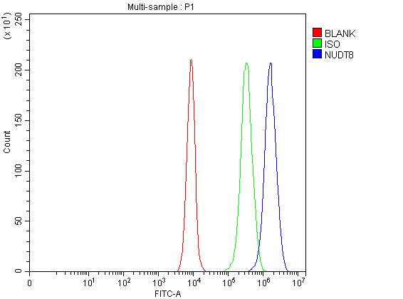 a16309 1 nudt8 primary antibodies fcm testing 5