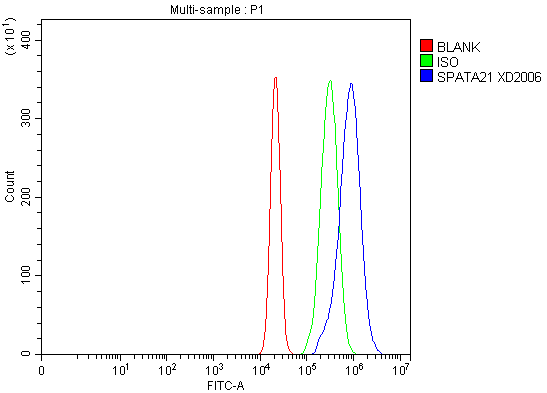 a16667 spata21 primary antibodies fcm testing 2
