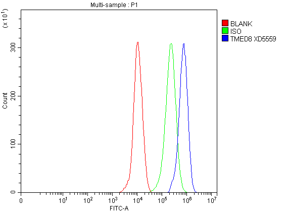 a16793 1 tmed8 primary antibodies fcm testing 1
