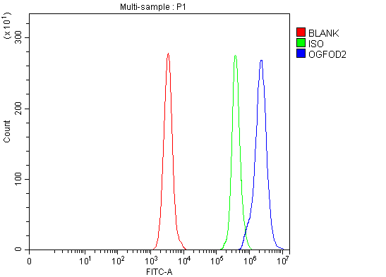 Figure 2. Flow Cytometry analysis of Daudi cells using anti-OGFOD2 antibody (A16867-1). Overlay histogram showing Daudi cells stained with A16867-1 (Blue line). To facilitate intracellular staining, cells were fixed with 4% paraformaldehyde and permeabilized with permeabilization buffer. The cells were blocked with 10% normal goat serum. And then incubated with rabbit anti-OGFOD2 Antibody (A16867-1, 1 microg/1x106 cells) for 30 min at 20°C. DyLight®488 conjugated goat anti-rabbit IgG (BA1127, 5-10 microg/1x106 cells) was used as secondary antibody for 30 minutes at 20°C. Isotype control antibody (Green line) was rabbit IgG (1 microg/1x106) used under the same conditions. Unlabelled sample without incubation with primary antibody and secondary antibody (Red line) was used as a blank control. Figure 2. Flow Cytometry analysis of Daudi cells using anti-OGFOD2 antibody (A16867-1). Overlay histogram showing Daudi cells stained with A16867-1 (Blue line). To facilitate intracellular staining, cells were fixed with 4% paraformaldehyde and permeabilized with permeabilization buffer. The cells were blocked with 10% normal goat serum. And then incubated with rabbit anti-OGFOD2 Antibody (A16867-1, 1 microg/1x106 cells) for 30 min at 20°C. DyLight®488 conjugated goat anti-rabbit IgG (BA1127, 5-10 microg/1x106 cells) was used as secondary antibody for 30 minutes at 20°C. Isotype control antibody (Green line) was rabbit IgG (1 microg/1x106) used under the same conditions. Unlabelled sample without incubation with primary antibody and secondary antibody (Red line) was used as a blank control.