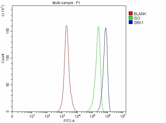 a17120 1 sbk1 primary antibodies fcm testing 8