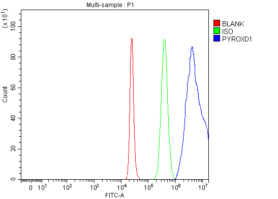  Flow Cytometry analysis of 293T cells using anti-PYROXD1 antibody (A17214-4)