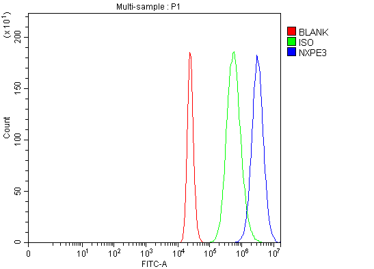 a18151 nxpe3 primary antibodies fcm testing 3