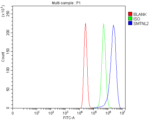 Figure 3. Flow Cytometry analysis of MCF-7 cells using anti-SMTNL2 antibody (A18269-1). Overlay histogram showing MCF-7 cells stained with A18269-1 (Blue line). To facilitate intracellular staining, cells were fixed with 4% paraformaldehyde and permeabilized with permeabilization buffer. The cells were blocked with 10% normal goat serum. And then incubated with rabbit anti-SMTNL2 Antibody (A18269-1, 1 microg/1x106 cells) for 30 min at 20°C. DyLight®488 conjugated goat anti-rabbit IgG (BA1127, 5-10 microg/1x106 cells) was used as secondary antibody for 30 minutes at 20°C. Isotype control antibody (Green line) was rabbit IgG (1 microg/1x106) used under the same conditions. Unlabelled sample (Red line) was also used as a control.