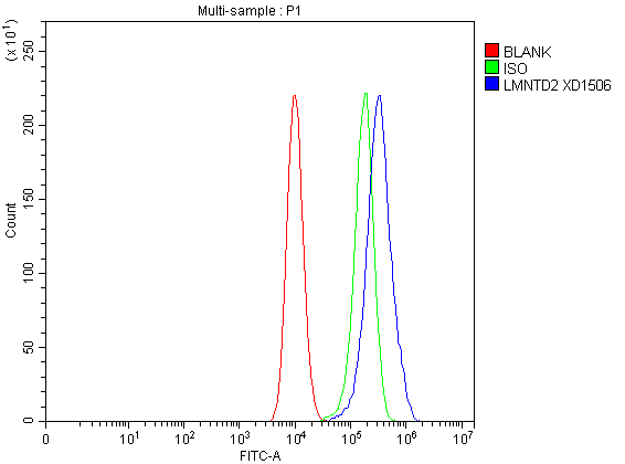 a18456 lmntd2 primary antibodies fcm testing 2