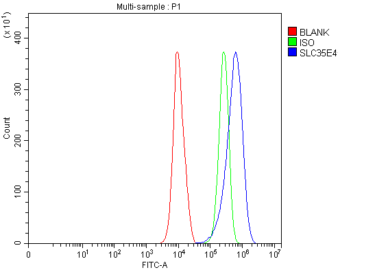 Figure 2. Flow Cytometry analysis of PC-3 cells using anti-SLC35E4 antibody (A18522). Overlay histogram showing PC-3 cells stained with A18522 (Blue line). To facilitate intracellular staining, cells were fixed with 4% paraformaldehyde and permeabilized with permeabilization buffer. The cells were blocked with 10% normal goat serum. And then incubated with rabbit anti-SLC35E4 Antibody (A18522, 1 microg/1x106 cells) for 30 min at 20°C. DyLight®488 conjugated goat anti-rabbit IgG (BA1127, 5-10 microg/1x106 cells) was used as secondary antibody for 30 minutes at 20°C. Isotype control antibody (Green line) was rabbit IgG (1 microg/1x106) used under the same conditions. Unlabelled sample without incubation with primary antibody and secondary antibody (Red line) was used as a blank control.