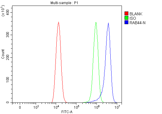 Figure 2. Flow Cytometry analysis of HEL cells using anti-RAB44 antibody (A18664). Overlay histogram showing HEL cells stained with A18664 (Blue line). To facilitate intracellular staining, cells were fixed with 4% paraformaldehyde and permeabilized with permeabilization buffer. The cells were blocked with 10% normal goat serum. And then incubated with rabbit anti-RAB44 Antibody (A18664, 1 microg/1x106 cells) for 30 min at 20°C. DyLight®488 conjugated goat anti-rabbit IgG (BA1127, 5-10 microg/1x106 cells) was used as secondary antibody for 30 minutes at 20°C. Isotype control antibody (Green line) was rabbit IgG (1 microg/1x106) used under the same conditions. Unlabelled sample without incubation with primary antibody and secondary antibody (Red line) was used as a blank control.