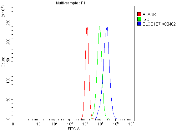 a18877 1 slco1b7 primary antibodies fcm testing 1