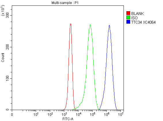 a19531 1 ttc34 primary antibodies fcm testing 4