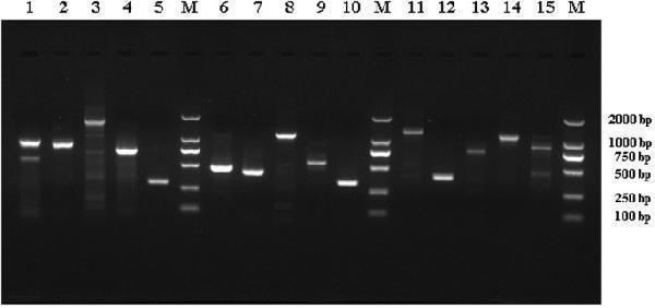 a30032 41598_2017_12713_fig3_html