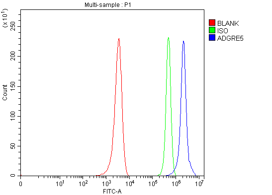 Figure 2. Flow Cytometry analysis of U251 cells using anti-ADGRE5 antibody (A30392-2). Overlay histogram showing U251 cells stained with A30392-2 (Blue line). The cells were fixed with 4% paraformaldehyde and blocked with 10% normal goat serum. And then incubated with rabbit anti-ADGRE5 Antibody (A30392-2, 1 microg/1x106 cells) for 30 min at 20°C. DyLight®488 conjugated goat anti-rabbit IgG (BA1127, 5-10 microg/1x106 cells) was used as secondary antibody for 30 minutes at 20°C. Isotype control antibody (Green line) was rabbit IgG (1 microg/1x106) used under the same conditions. Unlabelled sample (Red line) was also used as a control. Figure 2. Flow Cytometry analysis of U251 cells using anti-ADGRE5 antibody (A30392-2). Overlay histogram showing U251 cells stained with A30392-2 (Blue line). The cells were fixed with 4% paraformaldehyde and blocked with 10% normal goat serum. And then incubated with rabbit anti-ADGRE5 Antibody (A30392-2, 1 microg/1x106 cells) for 30 min at 20°C. DyLight®488 conjugated goat anti-rabbit IgG (BA1127, 5-10 microg/1x106 cells) was used as secondary antibody for 30 minutes at 20°C. Isotype control antibody (Green line) was rabbit IgG (1 microg/1x106) used under the same conditions. Unlabelled sample (Red line) was also used as a control.