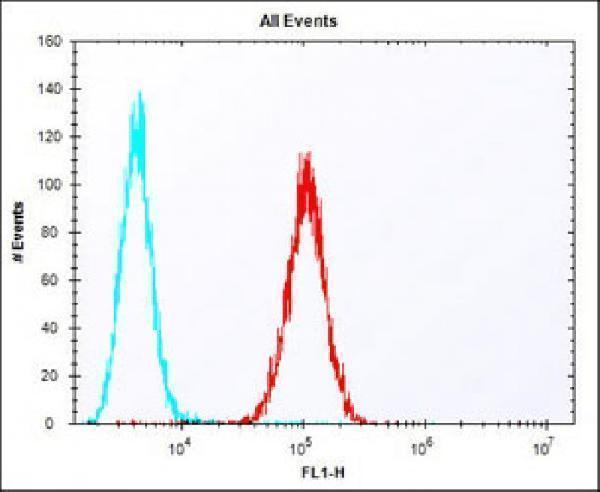 Overlay histogram showing F9 cells stained with A30709-1 (red line). The cells were fixed with 2% paraformaldehyde (10 min) and then permeabilized with 90% methanol for 10 min. The cells were then icubated in 2% bovine serum albumin to block non-specific protein-protein interactions followed by the antibody (A30709-1, 1:25 dilution) for 60 min at 37C. The secondary antibody used was Alexa Fluor® 488 goat anti-rabbit lgG (H+L) at 1/400 dilution for 40 min at 37C. Isotype control antibody (blue line) was rabbit IgG1 (1microg/1x10^6 cells) used under the same conditions. Acquisition of >10, 000 events was performed.