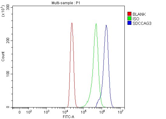 Figure 2. Flow Cytometry analysis of HL-60 cells using anti-ENTR1 antibody (A31716-1). Overlay histogram showing HL-60 cells stained with A31716-1 (Blue line). To facilitate intracellular staining, cells were fixed with 4% paraformaldehyde and permeabilized with permeabilization buffer. The cells were blocked with 10% normal goat serum. And then incubated with rabbit anti-ENTR1 Antibody (A31716-1, 1 microg/1x106 cells) for 30 min at 20°C. DyLight®488 conjugated goat anti-rabbit IgG (BA1127, 5-10 microg/1x106 cells) was used as secondary antibody for 30 minutes at 20°C. Isotype control antibody (Green line) was rabbit IgG (1 microg/1x106) used under the same conditions. Unlabelled sample without incubation with primary antibody and secondary antibody (Red line) was used as a blank control.