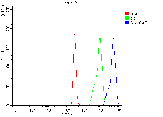 a31944 1 sinhcaf primary antibodies fcm testing 11