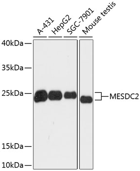 a32230 mesd primary antiboties wb testing 1