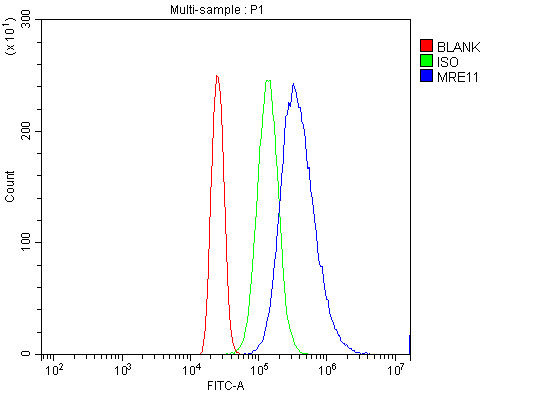 a32234 mre11 primary antibodies fcm testing 11