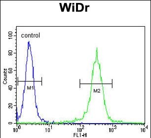 a32270 2 anti atp5b antibody center fc testing 7