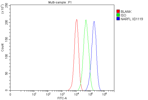  Flow Cytometry analysis of MCF-7 cells using anti-NARFL/CIAO3 antibody (A32387)