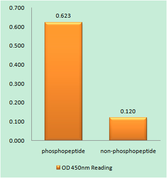 a32388s29 grk2 primary antibodies elisa testing 1