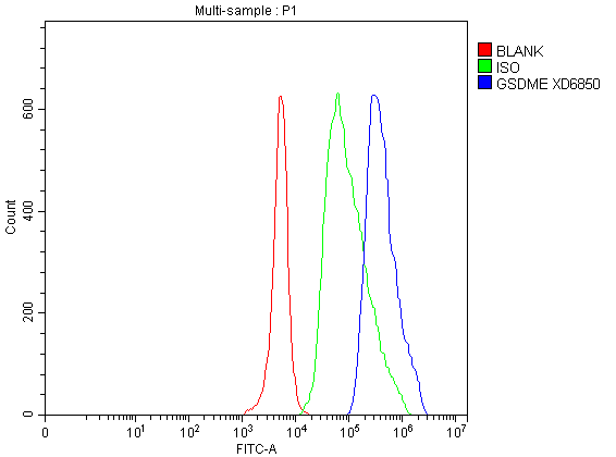 a32407 2 gsdme primary antibodies fcm testing 1