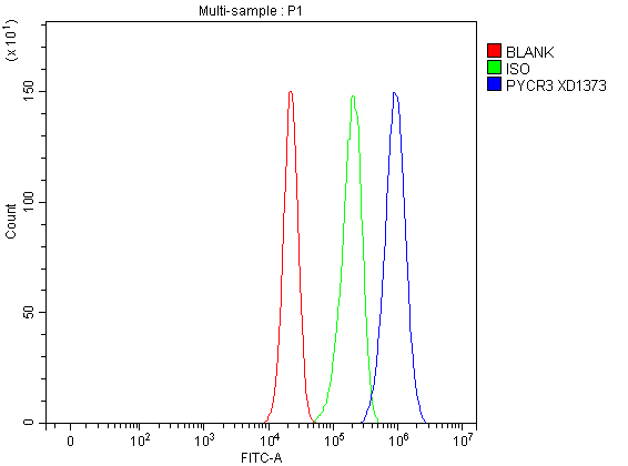  Flow Cytometry analysis of A549 cells using anti-PYCRL/PYCR3 antibody (A32428-1)