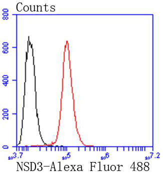 a32443 nsd3 primary antiboties fcm testing 2