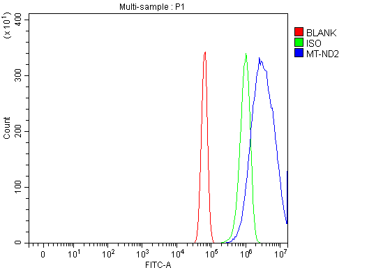  Flow Cytometry analysis of RH35 cells using anti-NADH2/Mtnd2 antibody (A32839-1)