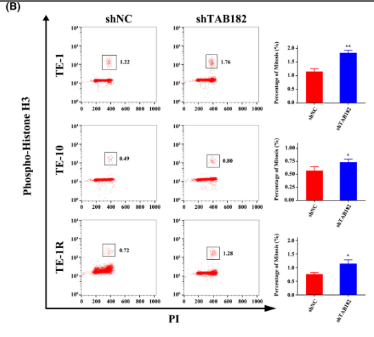 a33947s10 h3c1 primary antibodies wb testing 1
