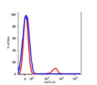 Lymphocytes gated human PBMCs stained with APC conjugated anti-human CD19 (clone 4G7, red histogram). PBMCs stained with MOPC-31C IgG1 APC isotype control (Blue histogram).