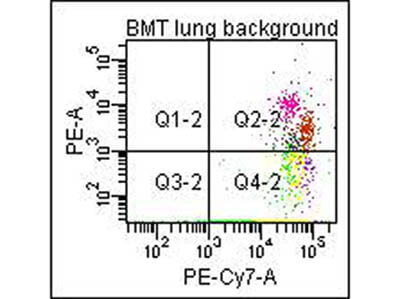 Flow Cytometry of Anti-Collagen Type I Biotin Conjugated Antibody (600-406-103)