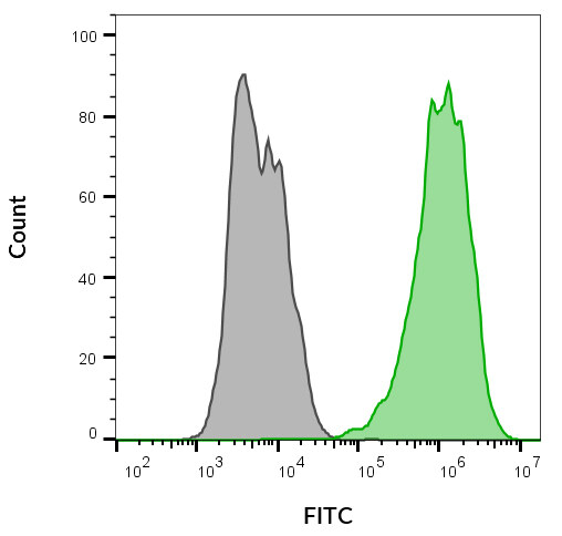 bs biotium 92576 0e20b8d6_1