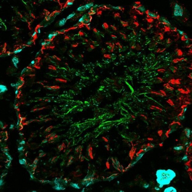 bs biotium 92576 9f95b923_1