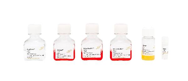 bs obatalasciences OS 306 01 839fce41_1