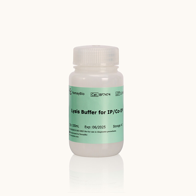 Lysis Buffer for IP/Co-IP