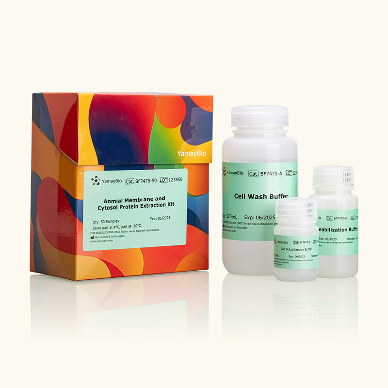 Animal Membrane and Cytosol Protein Extraction Kit