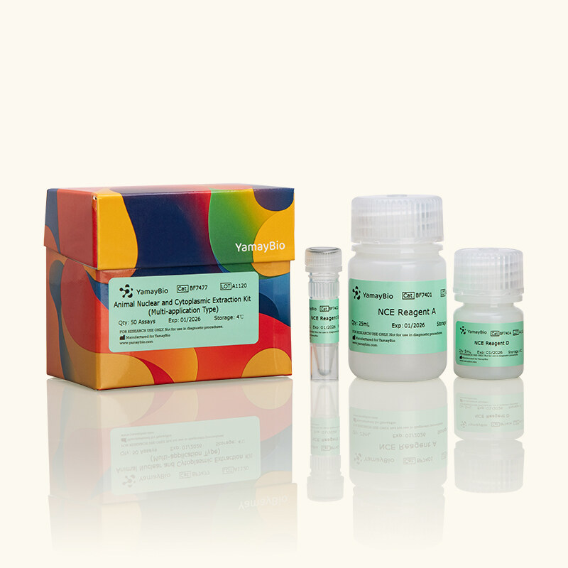 Animal Nuclear and Cytoplasmic Extraction Kit