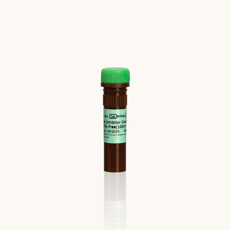 bs yamaybio BH5481 de063f86_1