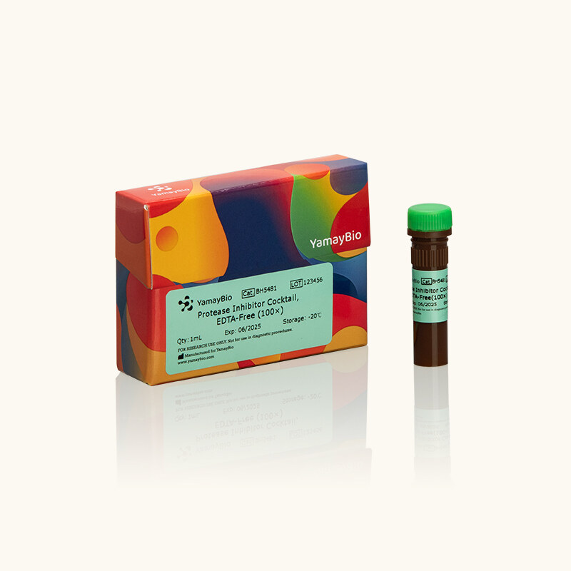 Protease Inhibitor Cocktail, EDTA-free (100x)