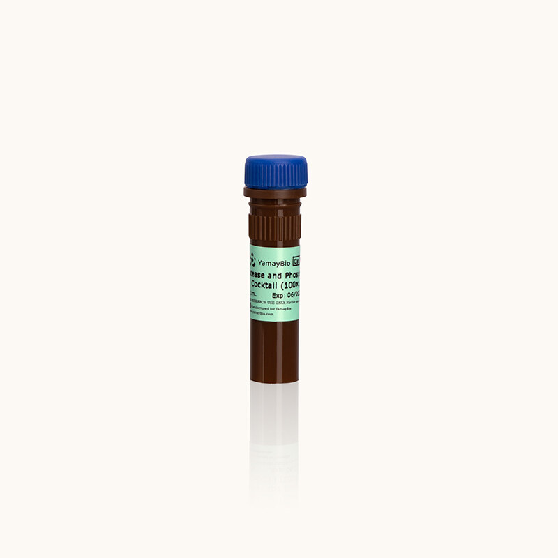 bs yamaybio BH5483 ae744663_1
