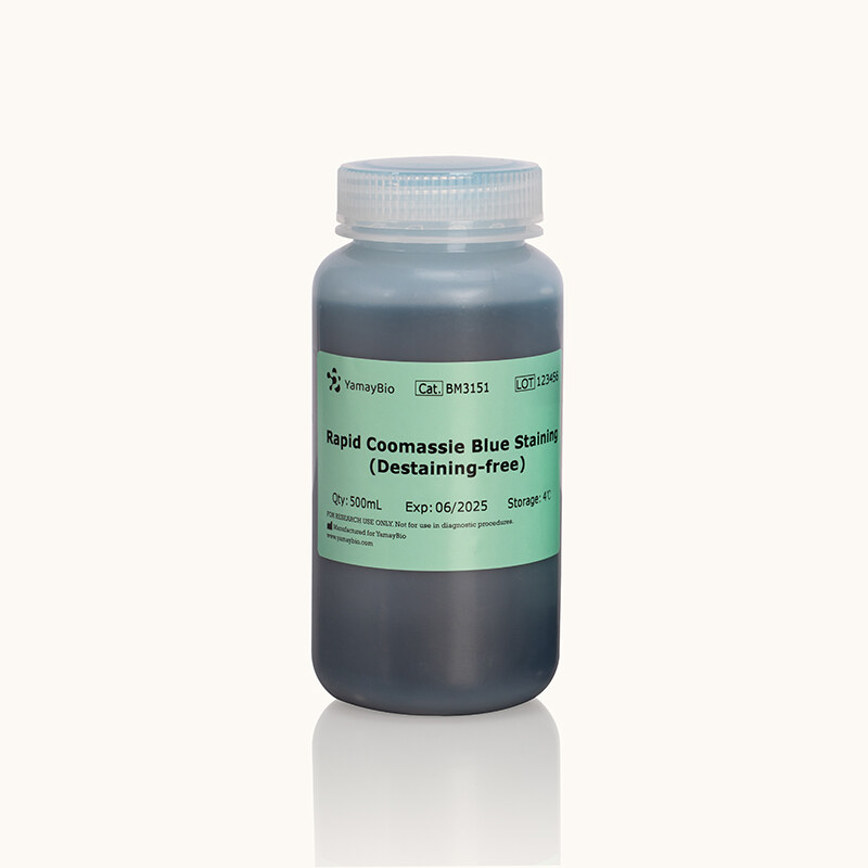 Rapid Coomassie Blue Staining (Destaining-free)