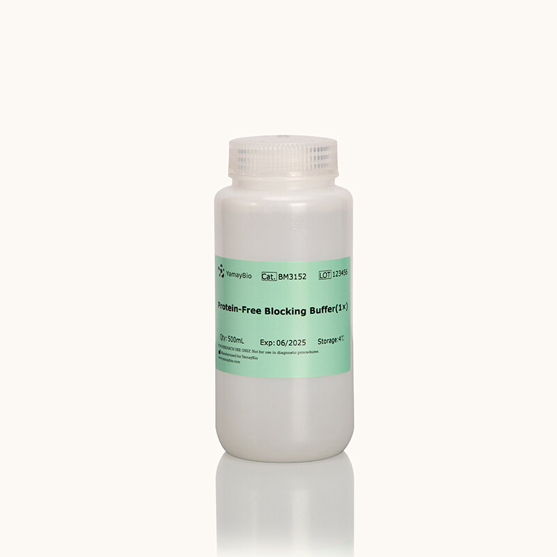Protein-free Blocking Buffer (1x)