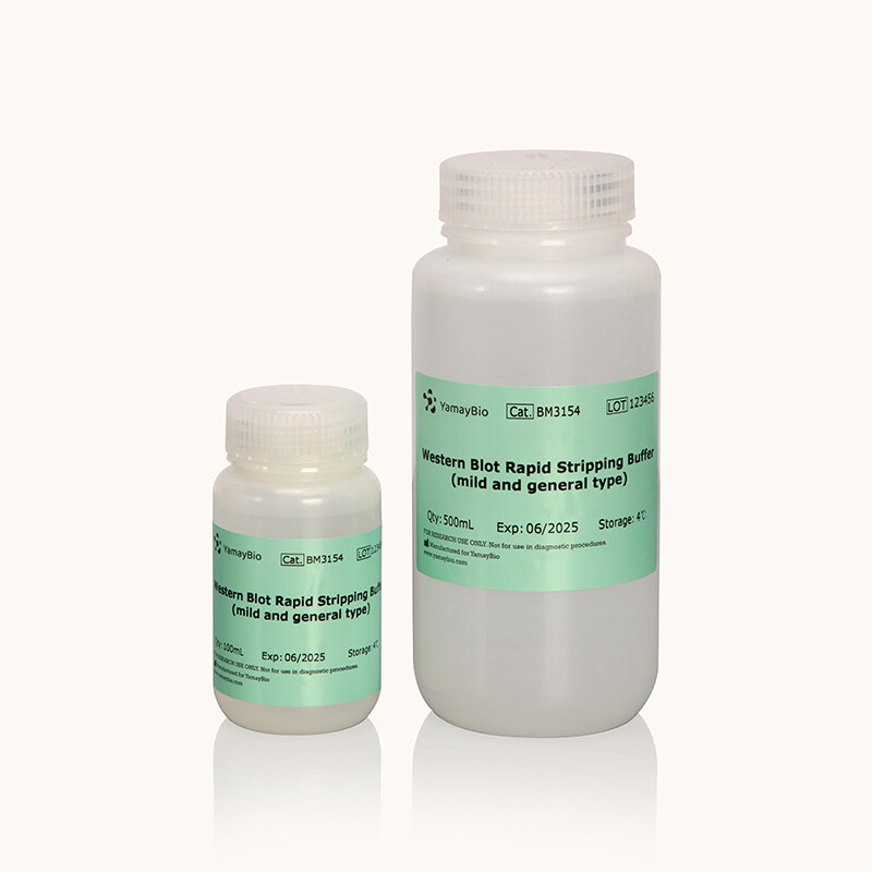 Western Blot Rapid Stripping Buffer (mild and general type)
