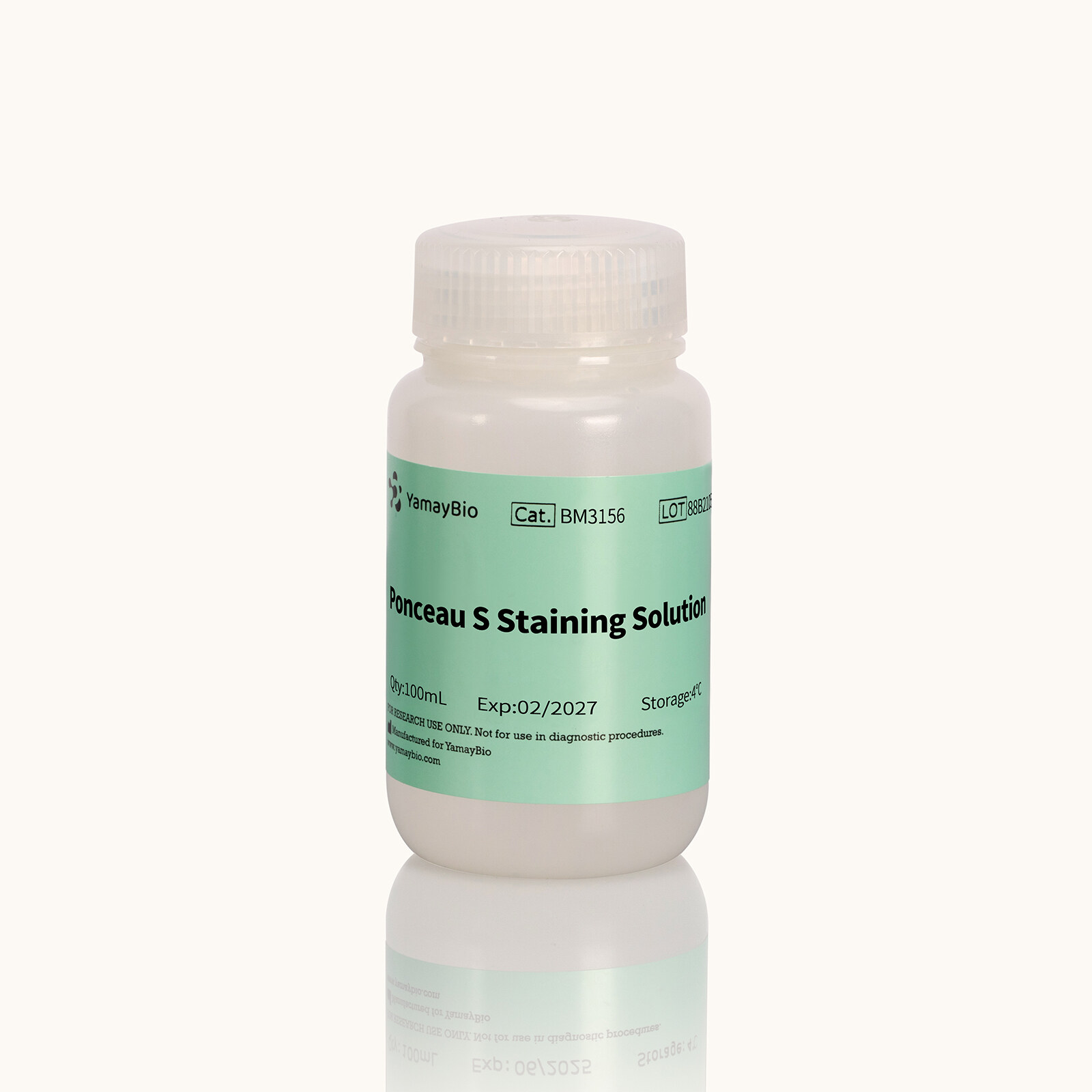 Ponceau S Staining Solution
