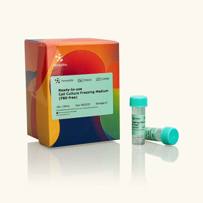 Ready-to-use Cell Culture Freezing Medium (FBS-free)