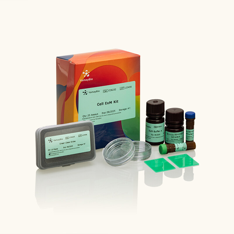 Cell ExM Kit