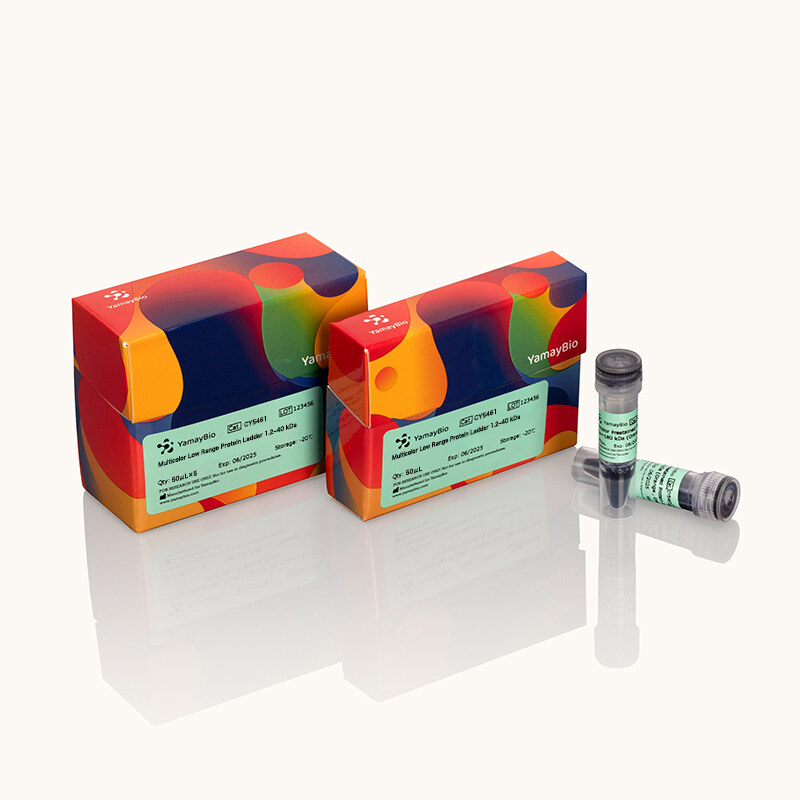 Multicolor Low Range Protein Ladder 1.2-40 kDa
