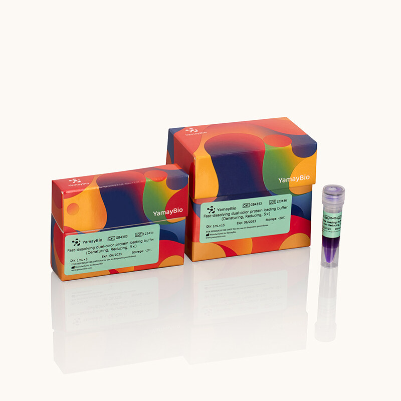 Fast-dissolving Dual-color Protein Loading Buffer (Denaturing, Reducing, 5x)