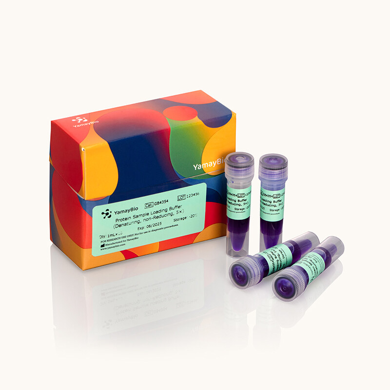 Protein Sample Loading Buffer (Denaturing, non-Reducing, 5x)