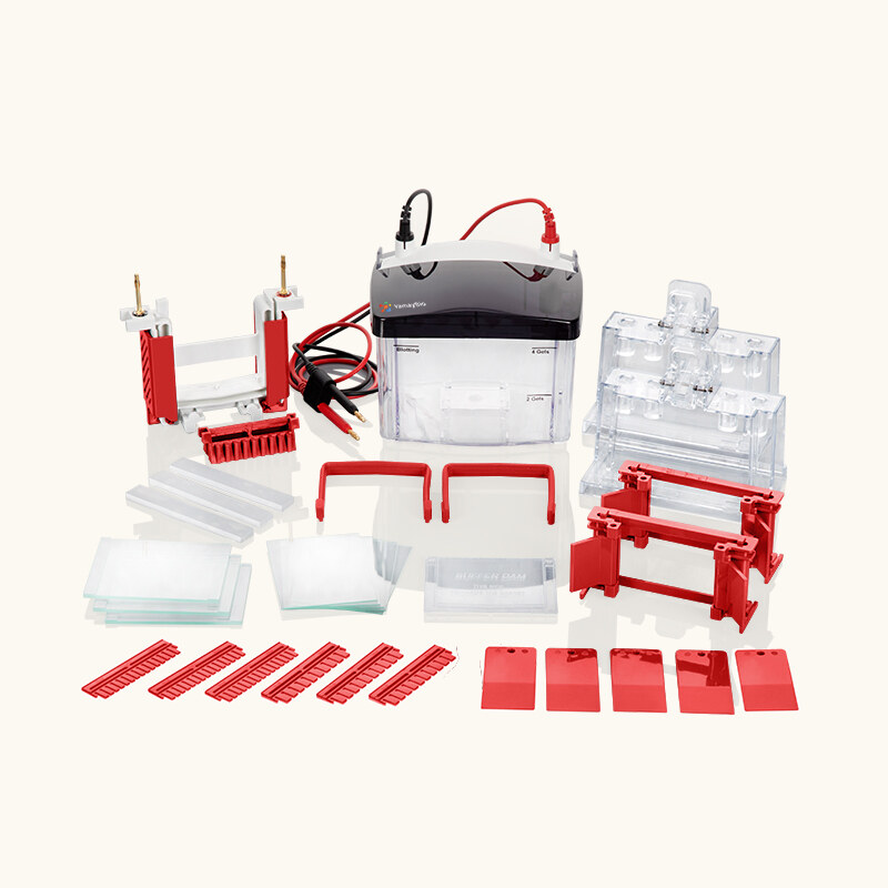 bs yamaybio MINI2075 84ed5d00_1