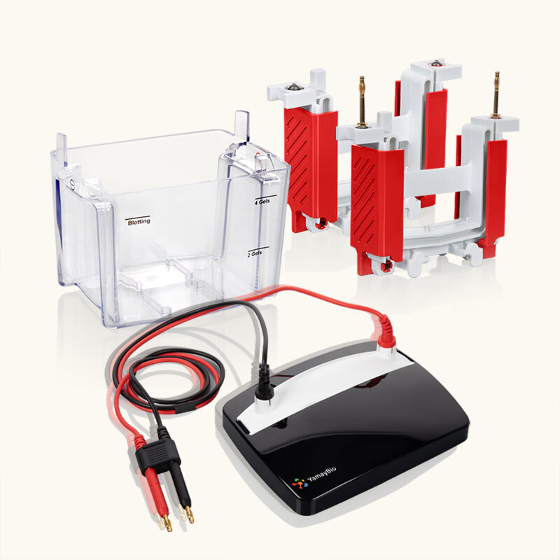 Mini Vertical Electrophoresis Cell